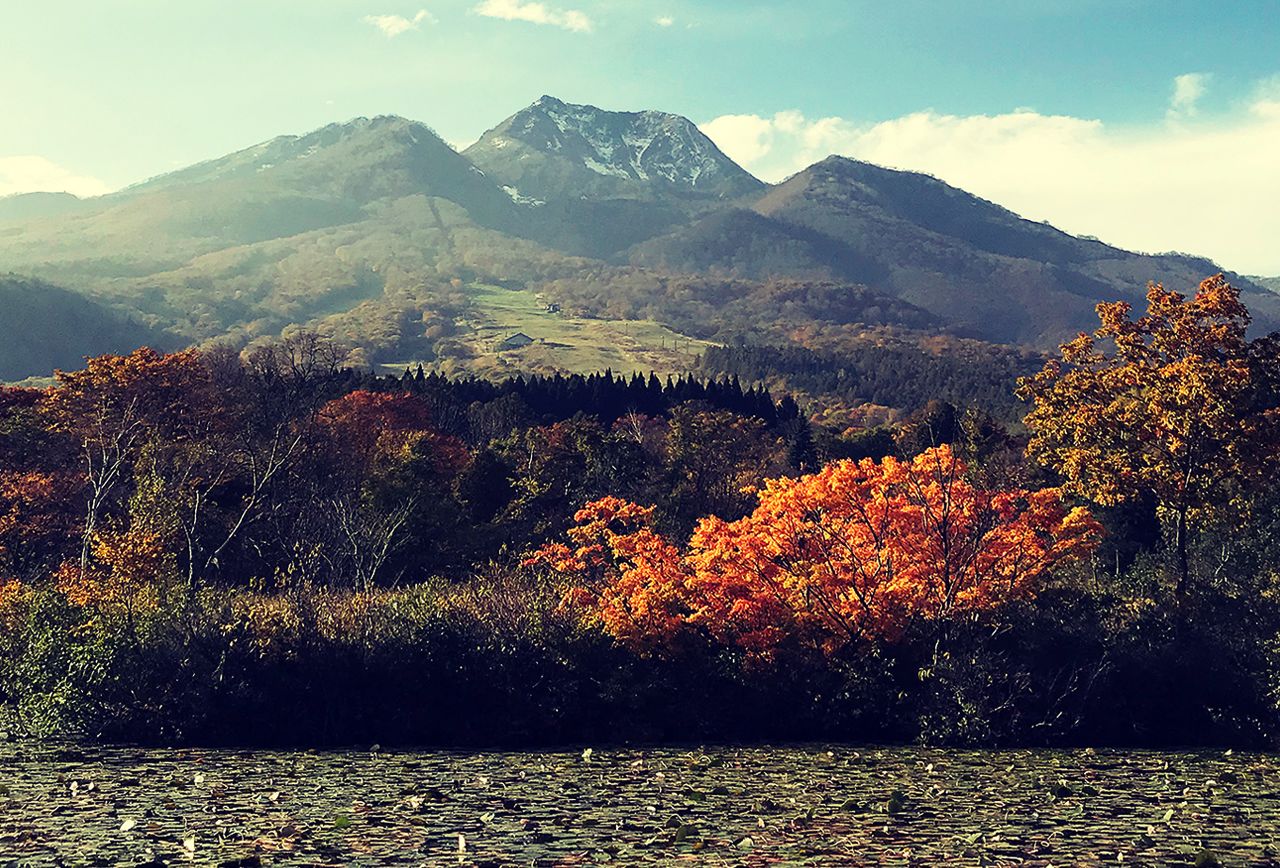 婦人の湯と呼ばれる女性にやさしい泉質上杉謙信も愛した源泉かけ流しの温泉