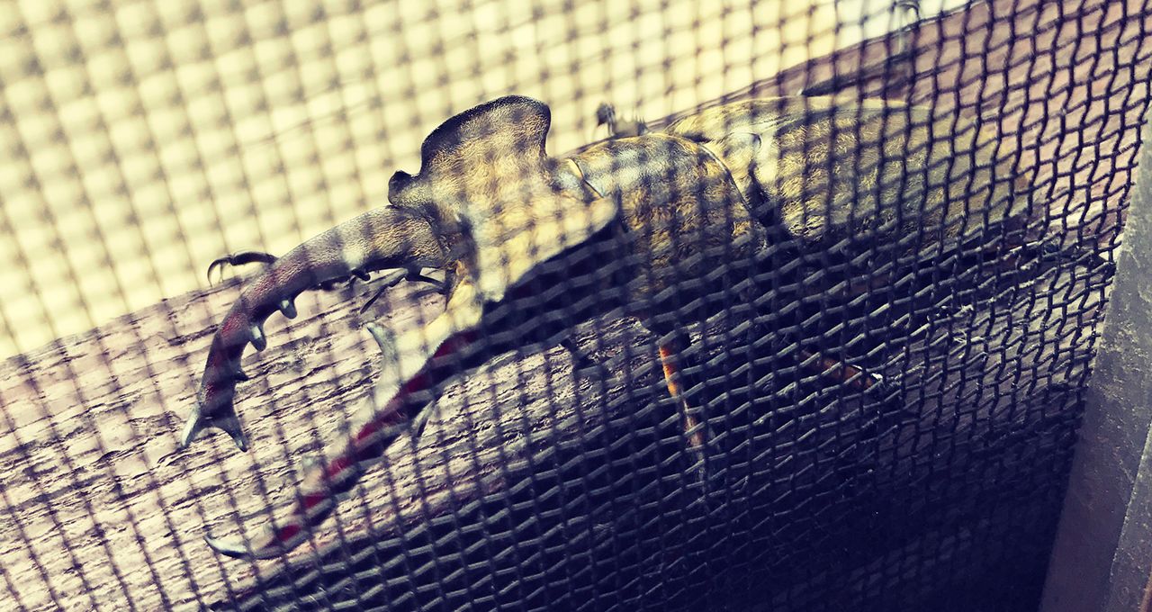 妙高高原 関温泉 山荘 神奈05